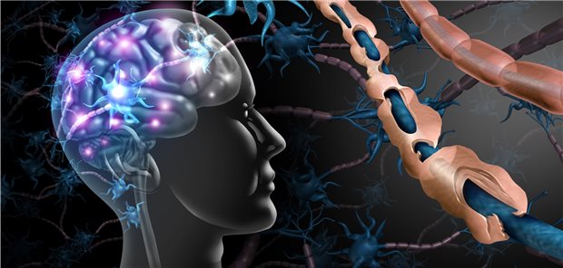 Grafik eines Gehirns mit neuronalen Verbindungen