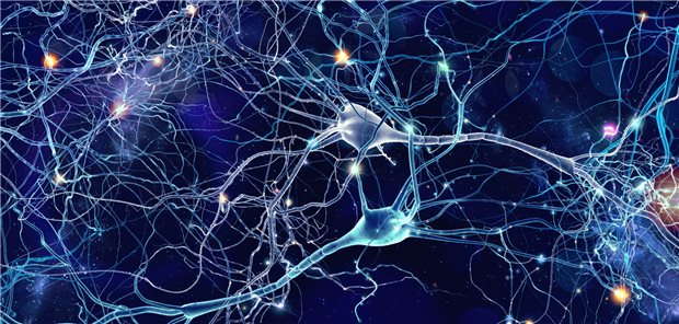 Neuronen, entlang denen Signale weitergeleitet werden. Bei der Elektrokonvulsionstherapie wird eine kurzzeitige neuronale Übererregung ausgelöst, wodurch neuroendokrinologische Störungen normalisiert werden.
