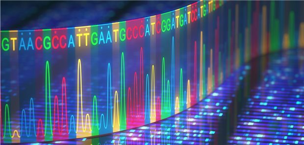 Tausende neuer Bakterien und Viren entdeckt „Next Generation DNA-Sequencing“: Erst mit dieser Methode gibt es die Möglichkeit, große Mengen an DNA in hoher Geschwindigkeit zu sequenzieren.