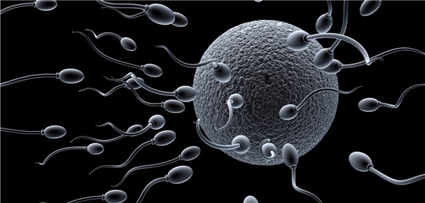 Nicht alle auf einmal! Für Empfängnisverhütung sind die gesetzlichen Kassen jetzt länger zahlungspflichtig.