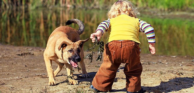 Gebissen werden oft Kleinkinder Nicht immer steckt Aggressivität dahinter, oft passiert eine Verletzung auch beim Spielen.