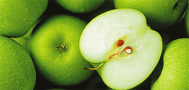 Der Apfel-Allergie auf der Spur Nicht jedem ist der Genuss eines Apfels vergönnt. Apfelallergiker vertragen oft gerade die Sorten aus dem Supermarkt nicht.
