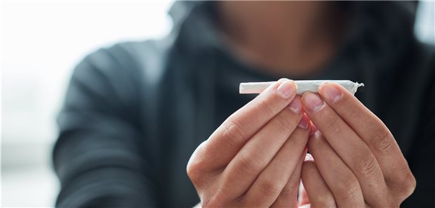 Nicht nur konventionelles Zigarettenrauchen, auch der Konsum von Cannabis ist bei Jugendlichen beliebt – mit möglicherweise gravierenden Folgen. Denn ein frühzeitiger schwerer Cannabiskonsum unterbricht wohl die normale Hirnentwicklung.
