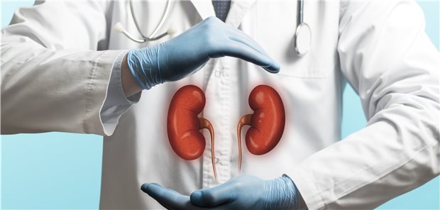 „Proteomanalyse ohne Nutzen bei Nephropathie“ Nieren in guten Händen: Die Früherkennung mit Proteomanalyse bleibt bisher allerdings ohne therapeutische Relevanz.