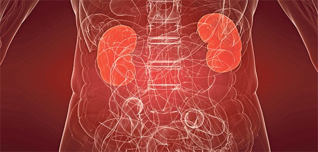 Optimaler Druck – optimale Nierenfunktion? Nieren und antihypertensive Therapie: Vorsicht bei niedrigen diastolischen Werten!