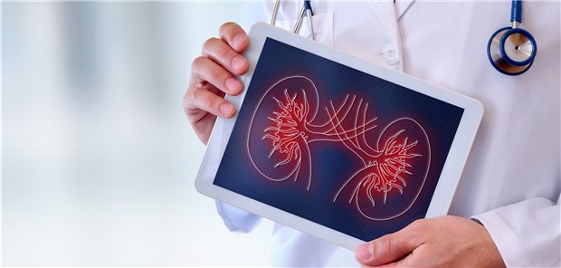 Nierenfunktion im Blick: Pausieren einer RAS-Hemmer-Therapie ist besser als Absetzen!