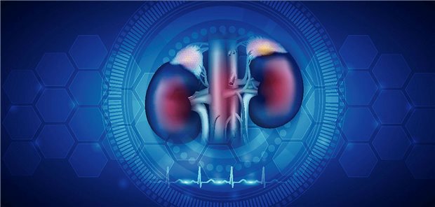 Nierengesundheit im Fokus: Für die Behandlung von Patienten mit Nierenzellkarzinomen ist die Leitlinie aktualisiert worden.