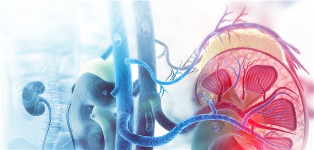Nierenschwäche: Viele Menschen wissen nichts von ihrer Erkrankung, vor allem Patienten in frühen und mittleren Stadien.