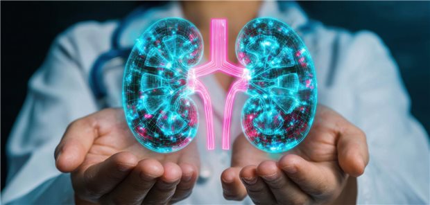 Nierenspende: Ende vergangenen Jahres warteten nach Daten der Stiftung Eurotransplant 6.200 Patienten auf eine neue Niere.