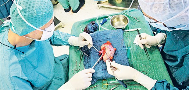 Mortalitätsrate für ältere Spender nicht erhöht Nierentransplantation: Auch bei über 60 Jährigen senkt die Nierenspende die Lebenserwartung nicht.