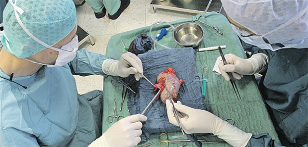 Neue Niere macht Rechtsschutz entbehrlich Nierentransplantation: Die Klägerin hat letztlich ein Organ erhalten.
