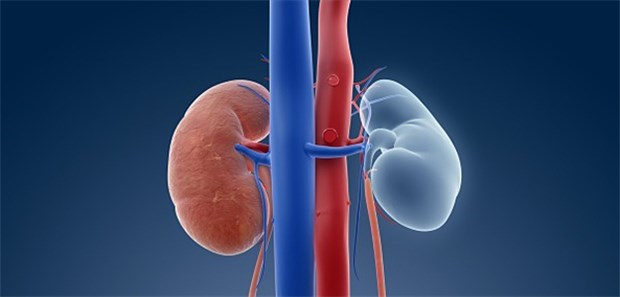 Nierentransplantation die Lebendspende kann unangenehme Folgen haben.