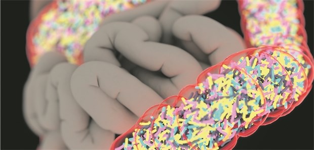 Mikrobiom oft noch Jahre nach Antibiose verändert Noch Jahre nach dem Ende einer Antibiose kann die physiologische Bakterienflora verändert sein.