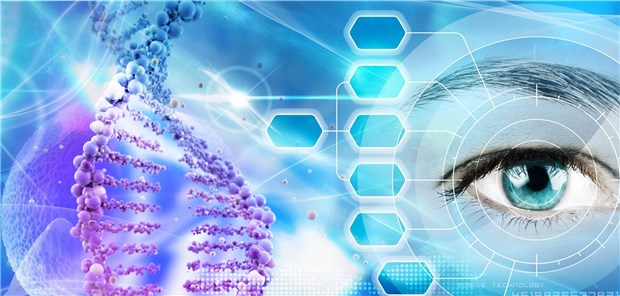 Noch bedeutet die Herstellung von CAR(„chimeric antigen receptor“)-T-Zell-Produkten einen enormen logistischen Aufwand – das könnte sich in Zukunft ändern.