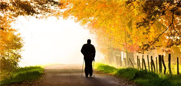 Nordic Walking im Herbstwald