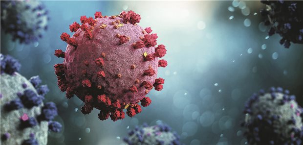 Modell eines Coronavirus