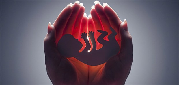 EU-Gericht stärkt Biotechnologie-Unternehmen Nur ein Embryo, der sich zu einem Menschen entwickelt, steht unter Schutz.