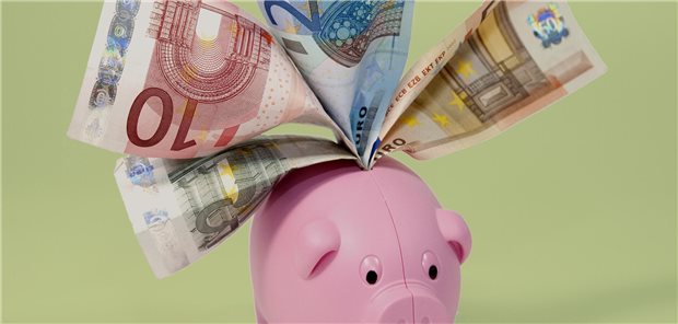 Nur ein „Schweinderl“ für alle Arten der psychiatrischen Behandlung: Das wäre ein Globalbudget für die Kliniken.