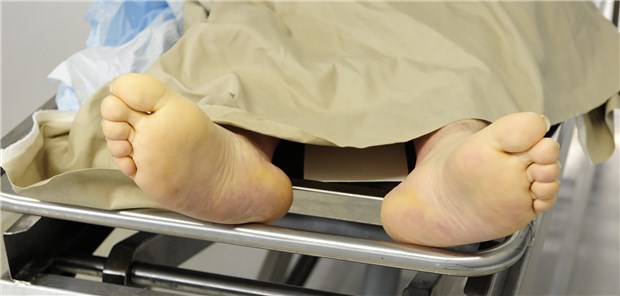 Bluten Leichen Bei Der Obduktion www.aerztezeitung.de