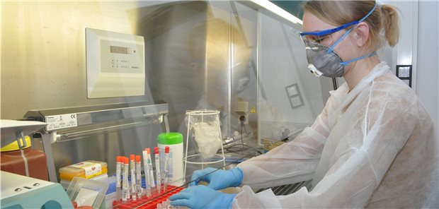 Nur in Schutzkleidung: Lena Gomolzig beim Extrahieren von Corona-Proben an der Sicherheits-Werkbank.