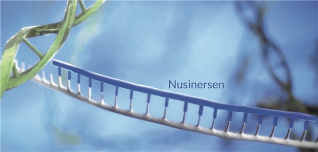 Nusinersen ist ein Antisense-Oligonukleotid, das gezielt in Prozesse am SMN2-Gen eingreift. Dies führt letztendlich dazu, dass mehr funktionsfähiges SMN-Protein, das für das Überleben der Motoneurone notwendig ist, gebildet wird.