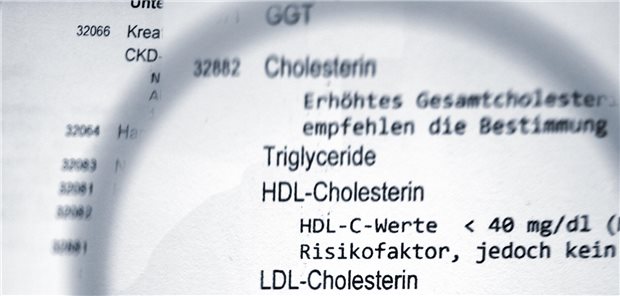 Olezarsen senkt Triglyzeride in Phase-III-Studie Vergrößerte Betrachtung der Triglyzerid- und Cholesterin-Werte einer Blutanalyse durch eine Lupe.