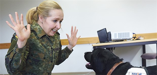 Die vierbeinigen Sozialarbeiter Oberstabsveterinärin Dr. Angela Bartels trainiert mit Labradorhündin Yoko im Ausbildungszentrum.