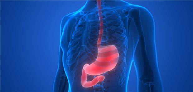 Ösophagus und Magen: Beim Ruminationssyndrom kommt es zu einem Anstieg des intragastrischen Drucks und einer Entspannung des oberen und unteren Sphinkters der Speiseröhre.