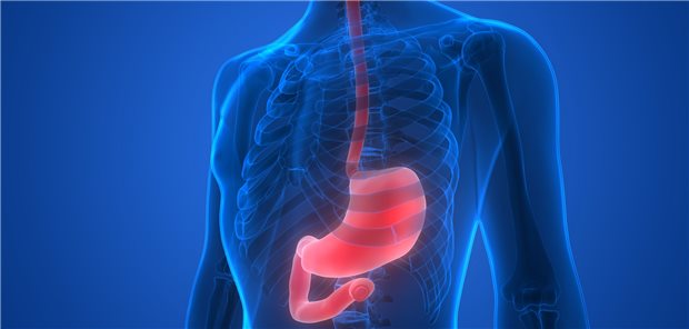 Ösophagus und Magen: Patienten mit fortgeschrittenen gastroösophagealen Adenokarzinomen profitieren von einer Zusatzbehandlung mit Nivolumab.