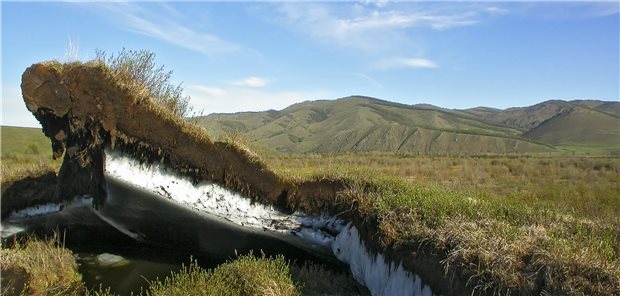 Rückkehr alter Seuchen durch tauenden Permafrostboden? Offene Bodenscholle im Permafrostboden in borealer Waldsteppe: Im alten Eis können auch Viren aus der Vergangenheit konserviert worden sein.