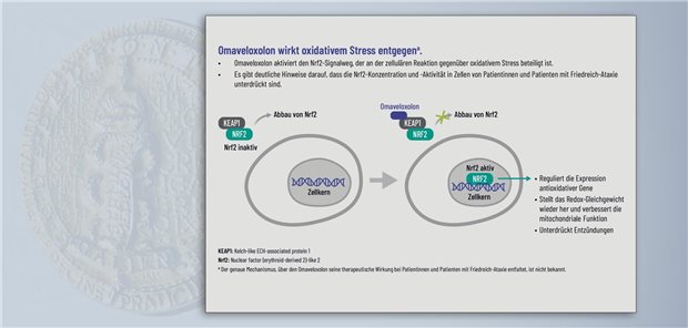 Omaveloxolon aktiviert den Nrf2-Signalweg, indem der Wirkstoff mit KEAP1 interagiert, das an KEAP1 gebundene Nrf2 nicht weiter abgebaut wird, akkumuliert und zelleigene Schutzmechanismen hochreguliert.