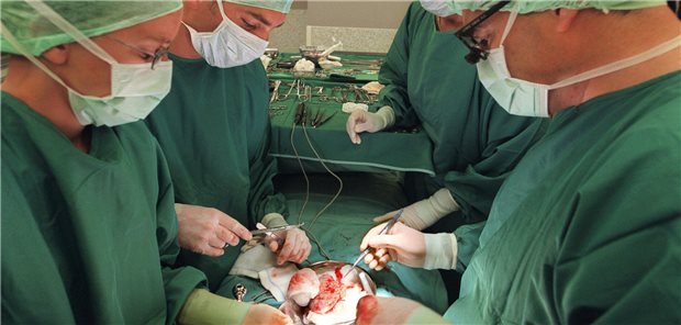 Op-Team bereitet sich auf eine Nierentransplantation vor