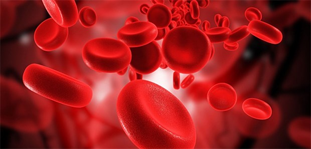 Orale Antikoagulanzien (DOAK) stehen jetzt in den Leitlinien zur Venenthrombose.