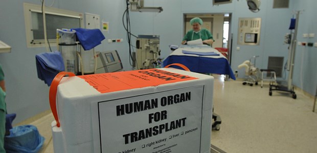 Minireform kommt doch Organ auf Reisen: Die TPG-Novelle kommt.
