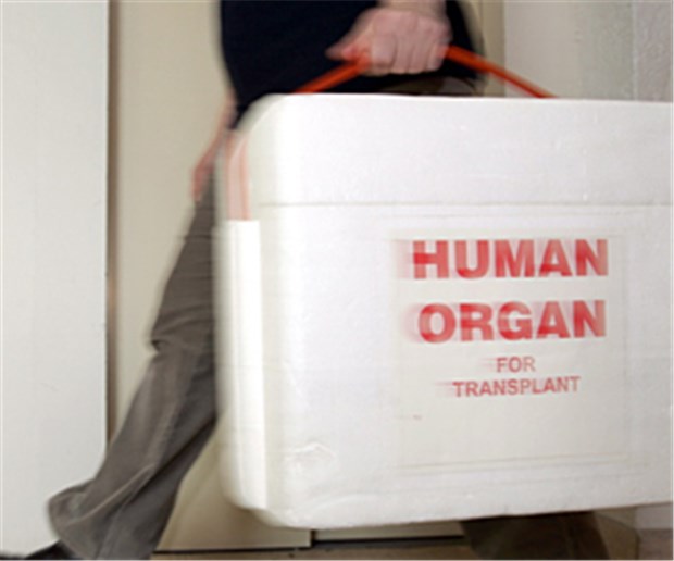 Transplantationsrekord in Spanien Organ auf dem Weg: In Spanien gibt es dieses Bild häufiger.