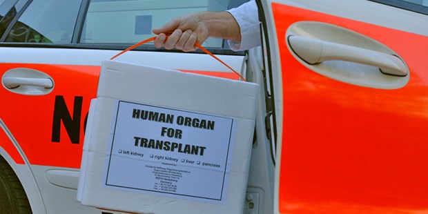 Der Ruf nach dem Strafgesetz Organ auf dem Weg zum Empfänger: Politiker wollen mehr Kontrollen im System.