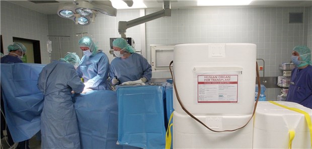 Organentnahme im OP: Transplantationsbeauftragte wollen eine stärkere Professionalisierung ihrer Arbeit.