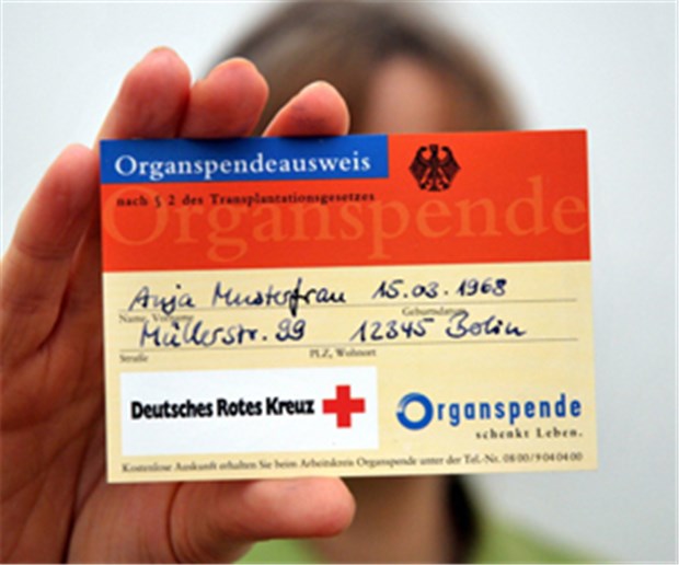 Kein Jubel über Einigung zur Organspende Organspende-Ausweis: Experten bezweifeln, dass die Neuregelung mehr Organe bringt.