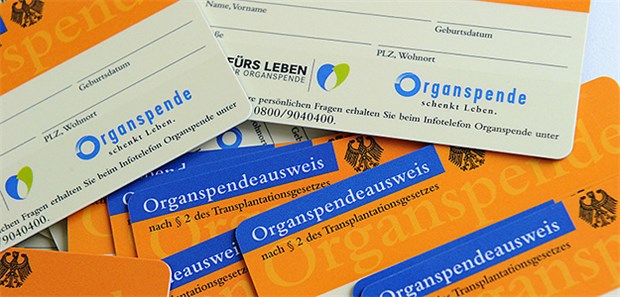 Abgeordnete uneins über Widerspruchslösung Organspende-Ausweise: In Deutschland fehlen viele Organspender.
