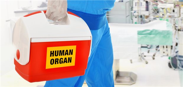 Entscheidung zur Organspende: Ampel-Politiker sind gegen „Strafzahlung“ Organspende: Die politische Debatte über Entscheidungslösung oder Widerspruchslösung ist erneut entbrannt.