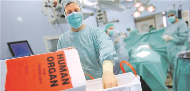 Der Mangel liegt am Meldewesen Organspende: Trotz neuer Gesetzgebung werden weniger Spender an die DSO gemeldet.