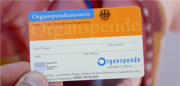 Organspenden – für Empfänger geschenkte Lebensjahre Organspendeausweis: Der Tag der Organspende ist auch in diesem Jahr wieder dafür genutzt worden, um mehr Menschen dazu zu bewegen, Spender zu werden.