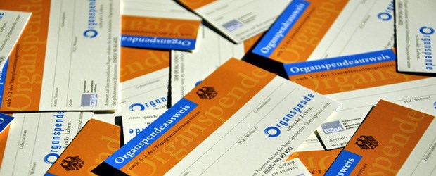 Organspende-Reform besiegelt Organspendeausweise: Davon soll es bald noch viel mehr geben.