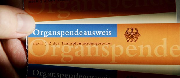 Jetzt gilt die Reform Organspendeausweise: Mehr davon soll es geben.