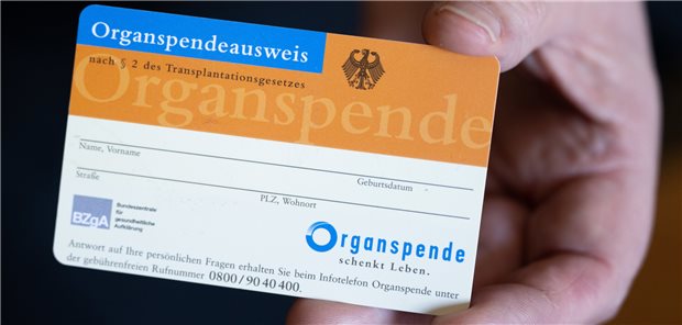 Organspenderegister bleibt offline bis Anfang 2024 Organspendeausweise in analoger Form gibt es – doch die digitale Möglichkeit, sich als potenzieller Spender registrieren zu lassen, kommt voraussichtlich erst 2024.