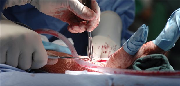 Osteosynthese am Unterarm: Auch Frakturen dieser Art könnten im kommenden Jahr unter Hybrid-DRG fallen.