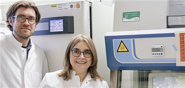 PD Dr. Samuel Gröschel (links) und Dr. Simone Mayer arbeiten in ihrem Tübinger Labor mit Hirnorganoiden, die von Hautzellen eines PCH2-Patienten abstammen.