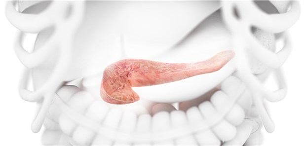 Pankreas: Bei Patienten mit Pankreatitis in der Vorgeschichte sollte Thiamazol kontraindiziert sein.