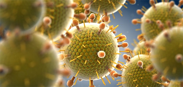 Ein kleines Molekül stoppt Masern Paramyxoviridae: Ein neuer Wirkstoff könnte im Kampf gegen kleine Masern-Epidemien helfen.
