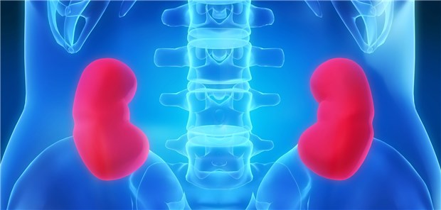 Patienten, die während eines stationären Aufenthalts ins akute Nierenversagen abgeglitten sind, laufen Gefahr, später chronisch niereninsuffizient zu werden.